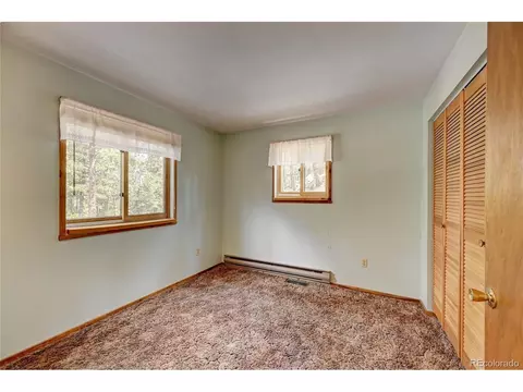 305 S Ridge Rd, Bailey, CO 80421 photo 29