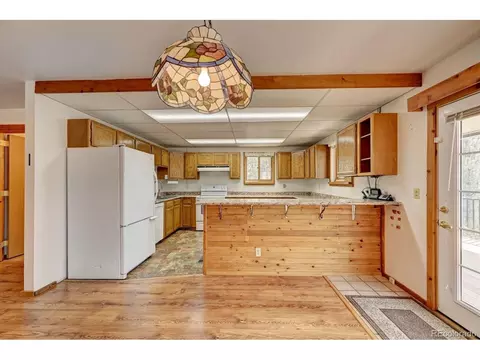 305 S Ridge Rd, Bailey, CO 80421 photo 15
