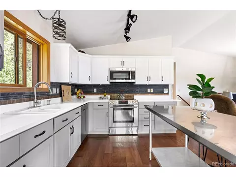 1609 S Pine Dr, Bailey, CO 80421 photo 9
