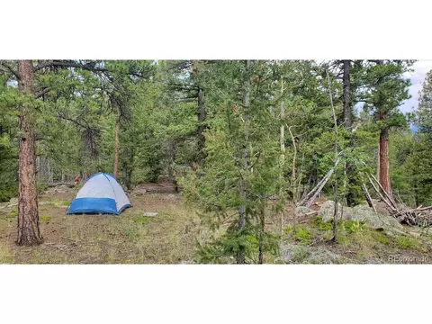 1609 S Pine Dr, Bailey, CO 80421 photo 39