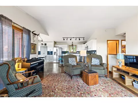 1609 S Pine Dr, Bailey, CO 80421 photo 5