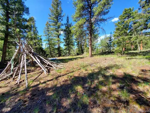 1609 S Pine Dr, Bailey, CO 80421 photo 38