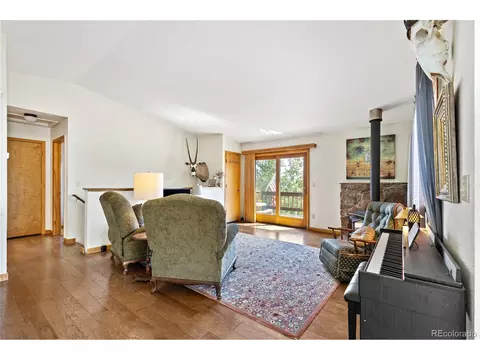 1609 S Pine Dr, Bailey, CO 80421 photo 6