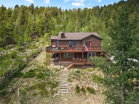 1609 S Pine Dr, Bailey, CO 80421
