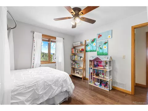 1609 S Pine Dr, Bailey, CO 80421 photo 19