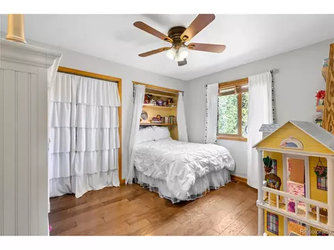 1609 S Pine Dr, Bailey, CO 80421 photo 18
