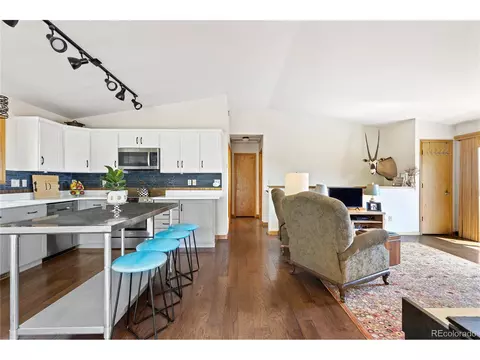 1609 S Pine Dr, Bailey, CO 80421 photo 8