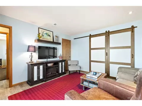 1609 S Pine Dr, Bailey, CO 80421 photo 24