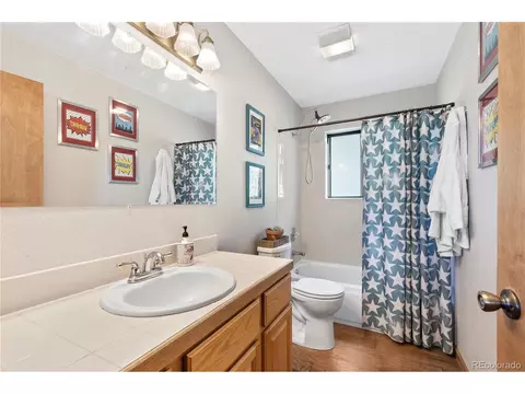 1609 S Pine Dr, Bailey, CO 80421 photo 22
