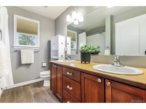 4780 Meadowlark Dr, Windsor, CO 80550 photo 28