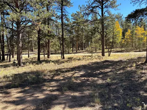 75 Harness Way, Hartsel, CO 80449