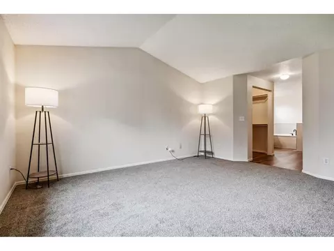 5111 E 117th Ct, Thornton, CO 80233 photo 17