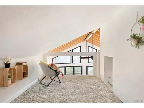 443 Eagle Trl, Bailey, CO 80421 photo 21