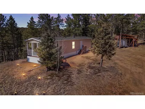 509 John Dr, Divide, CO 80814