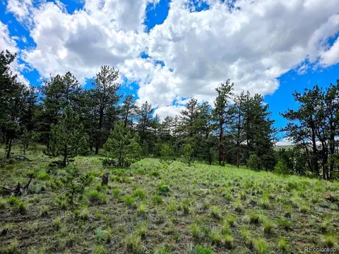 2528 Oxford Dr, Hartsel, CO 80449
