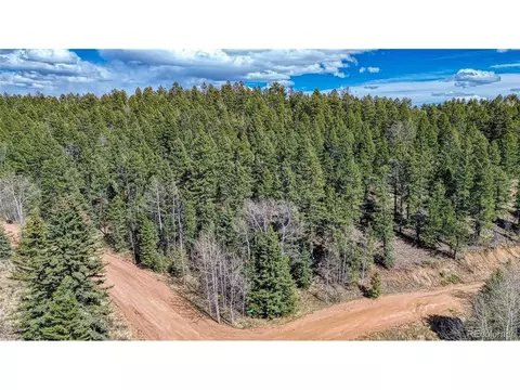Undisclosed, Florissant, CO 80816