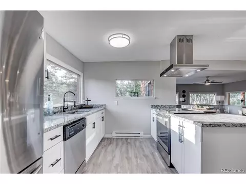 22 Schooley Rd, Bailey, CO 80421 photo 10