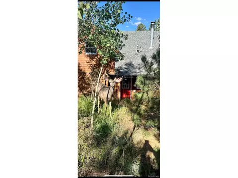 22 Schooley Rd, Bailey, CO 80421 photo 32