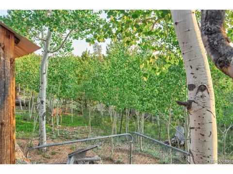 22 Schooley Rd, Bailey, CO 80421 photo 33