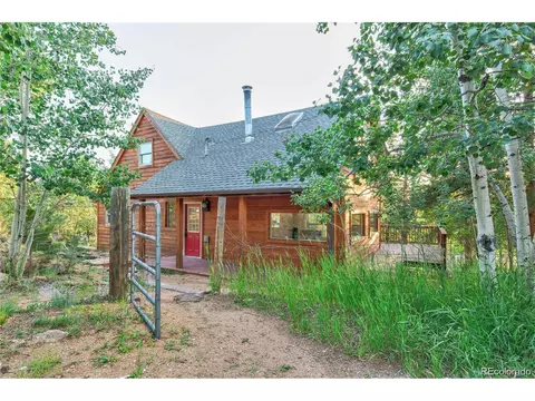 22 Schooley Rd, Bailey, CO 80421 photo 2