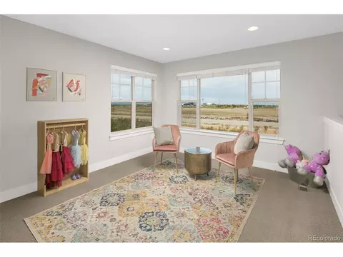 8745 E 55th Ave, Denver, CO 80238 photo 16