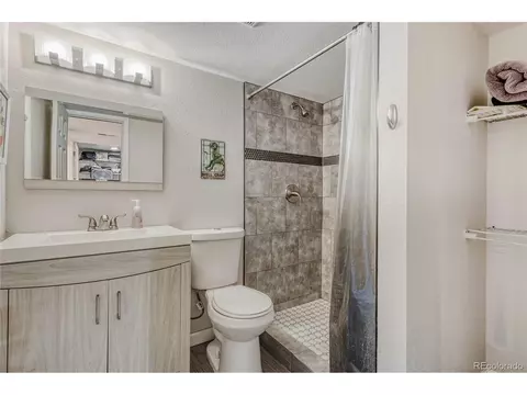 Bath - 20591 E 48th Pl, Denver, CO 80249 photo 5 of 6