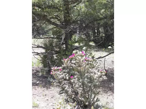 Tbd, Cotopaxi, CO 81223 photo 15