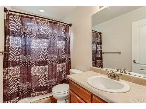 2175 Broadleaf Loop, Castle Rock, CO 80109 photo 20