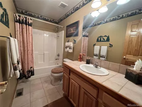 67 Burland Dr, Bailey, CO 80421 photo 33