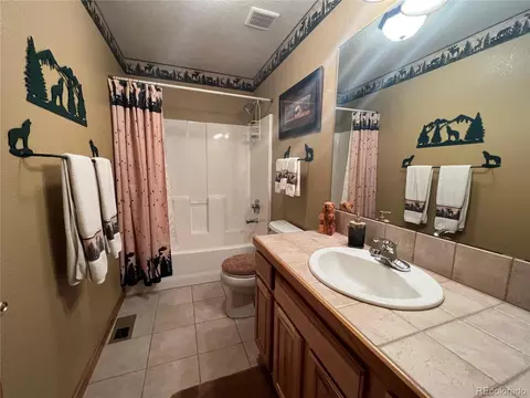 67 Burland Dr, Bailey, CO 80421 photo 32