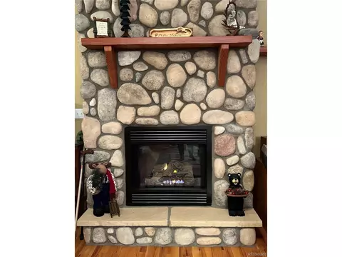 67 Burland Dr, Bailey, CO 80421 photo 16