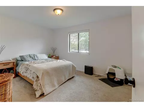 346 3rd St, Frederick, CO 80530 photo 17