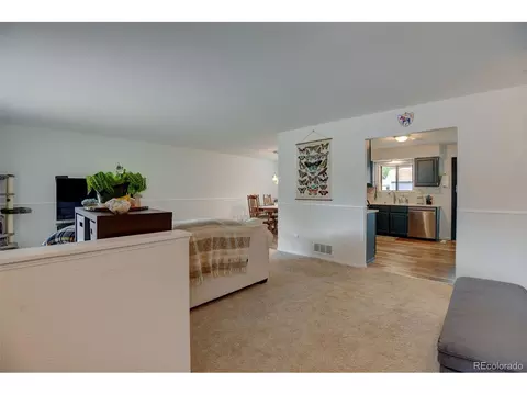 346 3rd St, Frederick, CO 80530 photo 9