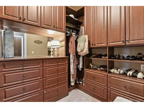 10357 Bluffmont Dr, Lone Tree, CO 80124 photo 23
