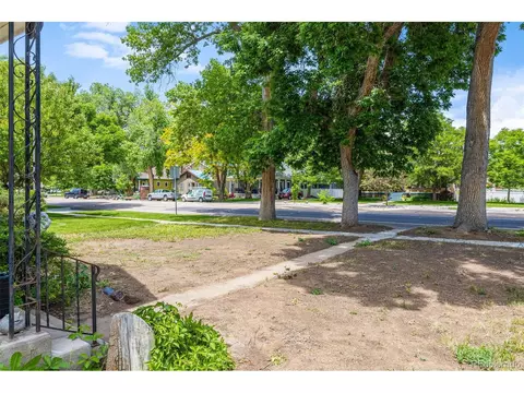 709 Walnut St, Windsor, CO 80550 photo 6