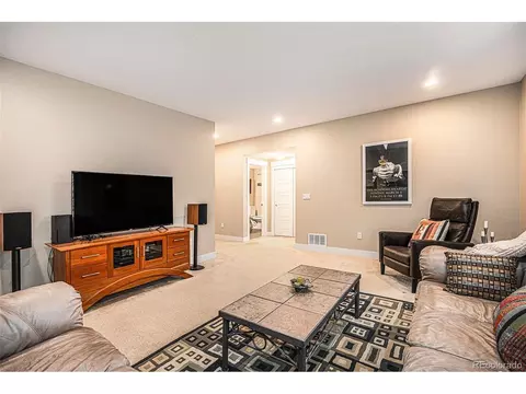 8460 E 54th Dr, Denver, CO 80238 photo 21