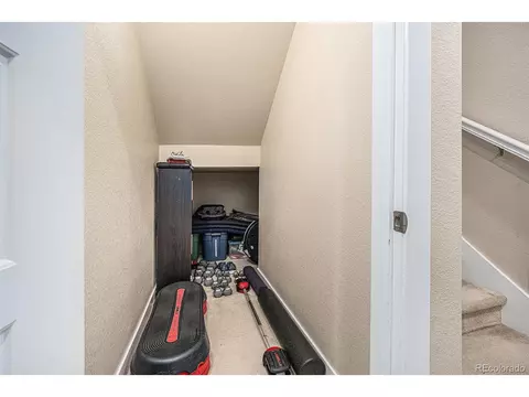8460 E 54th Dr, Denver, CO 80238 photo 25