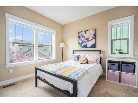 8460 E 54th Dr, Denver, CO 80238 photo 18
