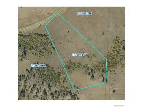 2178 Dog Chief Trl, Hartsel, CO 80449