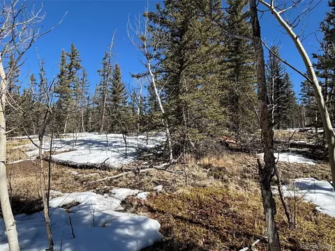192 Bear Way, Como, CO 80432 photo 8
