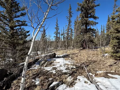 192 Bear Way, Como, CO 80432 photo 4