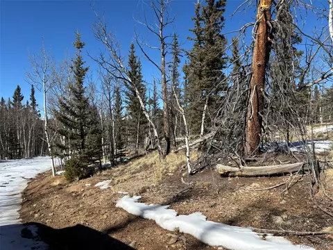 192 Bear Way, Como, CO 80432 photo 12