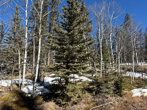 192 Bear Way, Como, CO 80432 photo 11
