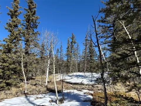 192 Bear Way, Como, CO 80432 photo 3