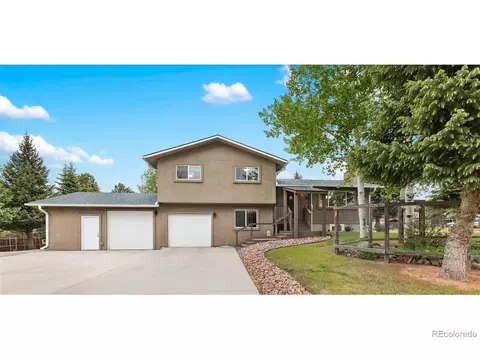 100 Chulita Senda St, Woodland Park, CO 80863