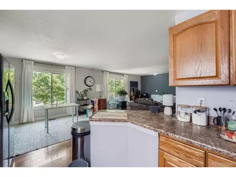 18660 E 42nd Pl, Denver, CO 80249 photo 10