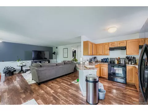 18660 E 42nd Pl, Denver, CO 80249 photo 8