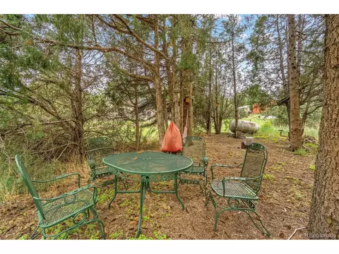 28367 Grove St, Pine, CO 80470 photo 14