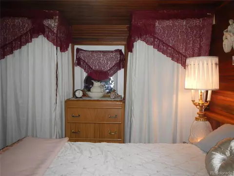 28367 Grove St, Pine, CO 80470 photo 35