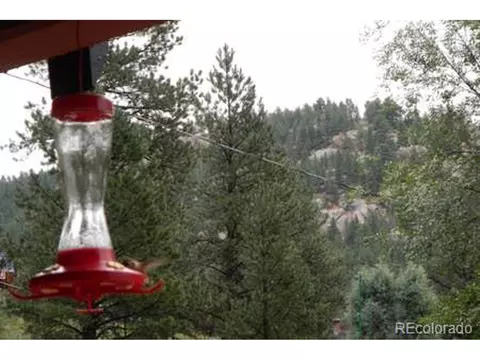 28367 Grove St, Pine, CO 80470 photo 29